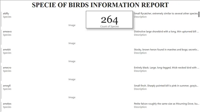 Bird_Details_Data_BI_Report — dashboard de Operações em Power BI