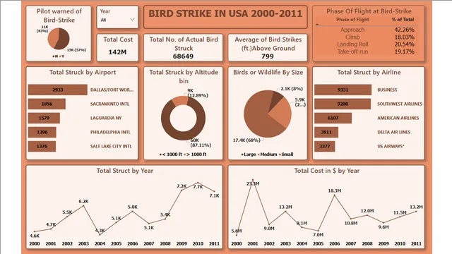Bird Strike Data Visulization — dashboard de Operações em Power BI