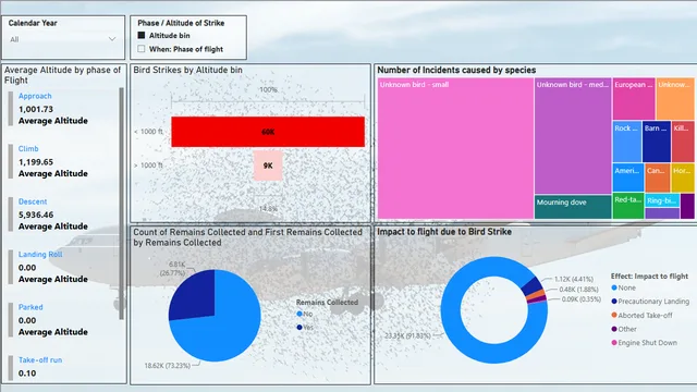 Bird Strike Dashboard — dashboard de Operações em Power BI