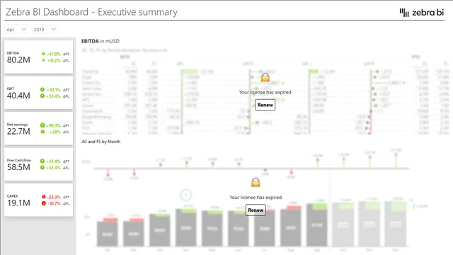 Zebra BI - Consolidated financials with comments - Cards — Power BI में वित्त डैशबोर्ड