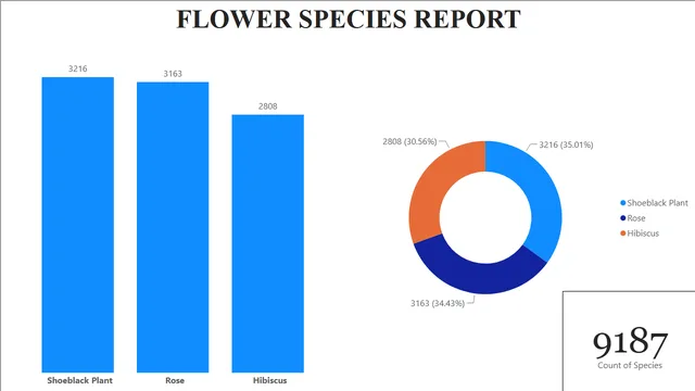 Flowers Dataset BI Report — panel de Ventas en Power BI