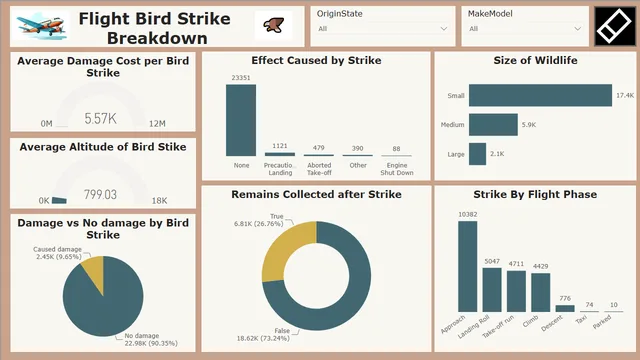 Flight Bird Strike — dashboard de Operações em Power BI
