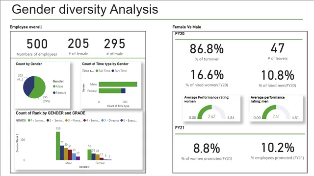 Diversity Analysis — Power BI में Governança BI डैशबोर्ड