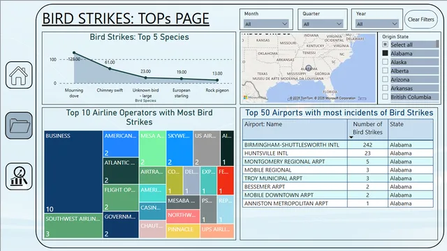 Bird Strikes — dashboard de Operações em Power BI