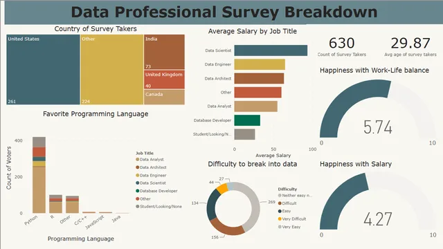 DataProfessional — Other dashboard in Power BI