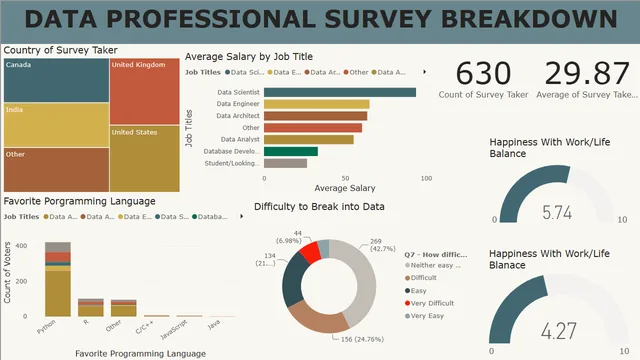 Data_Professional_Survey_PowerBI_Dashboard — dashboard de Governança BI em Power BI