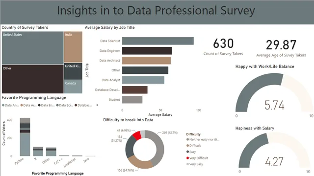 DataProfessional Survey — Power BI में अन्य डैशबोर्ड