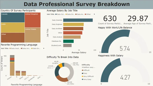 Data Professional Survey Breakdown-Project — Governança BI dashboard in Power BI