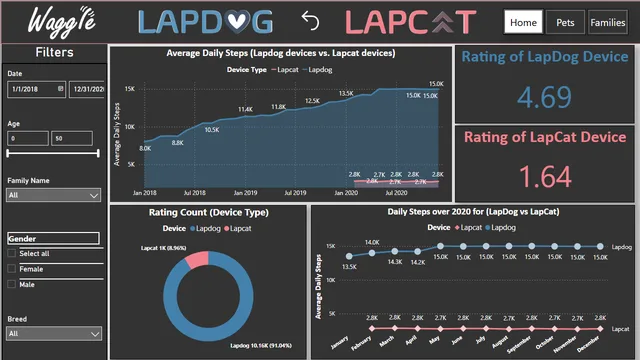 2nd Project - Waggle — dashboard de Operações em Power BI