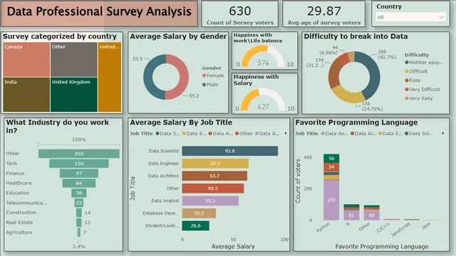 Data Professinal Survey Analysis — panel de Governança BI en Power BI