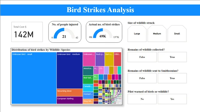 Bird Strikes Analysis — Power BI में Segurança डैशबोर्ड