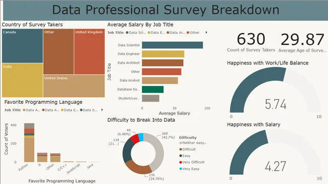 Data Professional Survey Breakdown PowerBi — Governança BI dashboard in Power BI