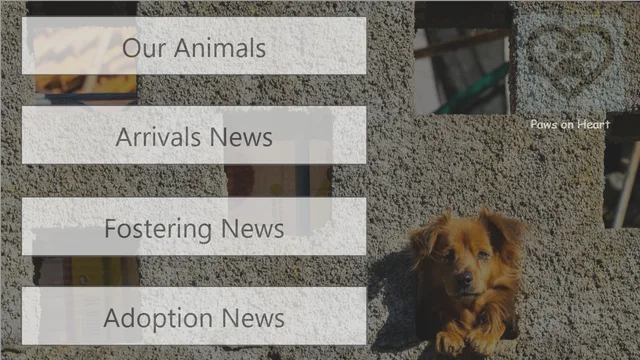 Animal Shelter Report — Governança BI dashboard in Power BI