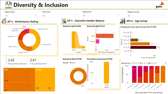 Diversity Inclusion Dashboard by Rajneesh — tela Page 2