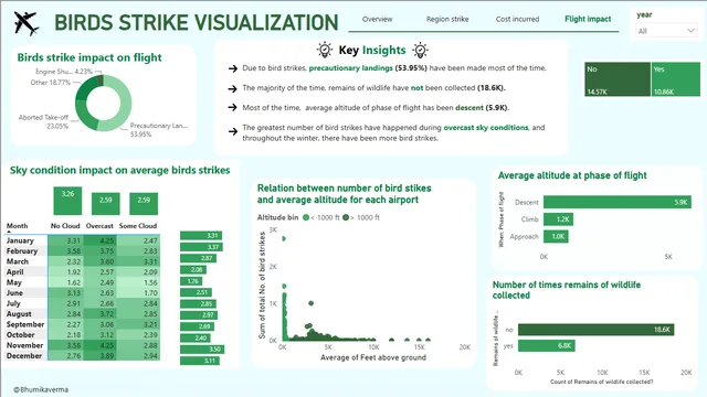 Bird visualization BI — dashboard de Operações em Power BI