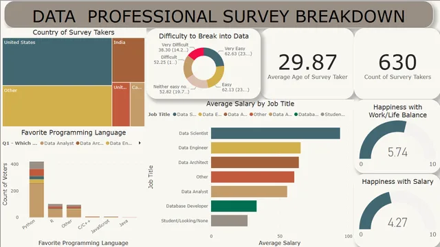 Data survey professional — Governança BI dashboard in Power BI