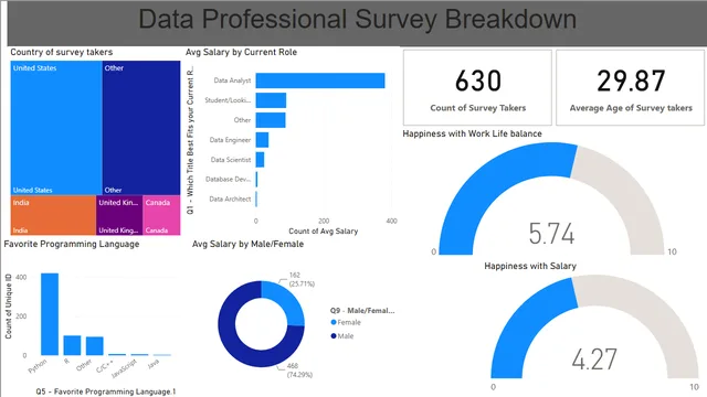 DataProf Survey breakdow — Other dashboard in Power BI