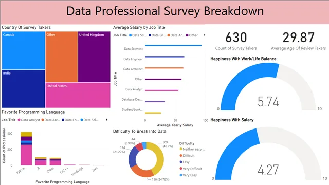 Data Professional Survey Breakdown - First Power Bi Project — panel de Marketing en Power BI