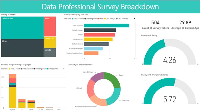 Data Professional Survey Breacdown — HR dashboard in Power BI