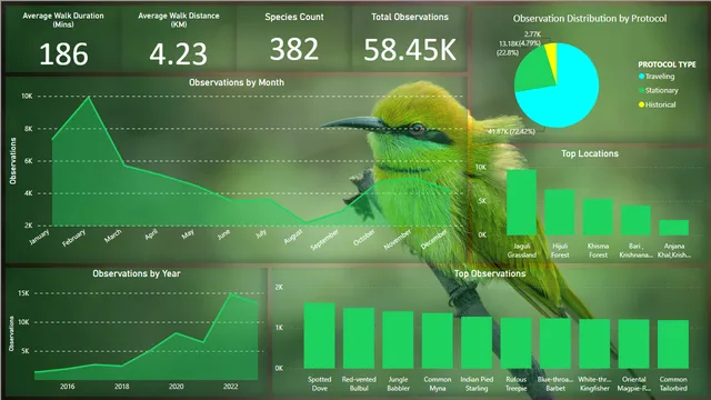 EBird Dataset Data Analysis — Análise de Dados dashboard in Power BI