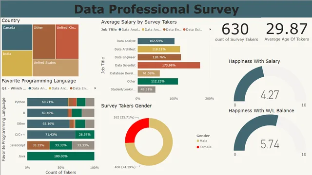 DataMajorsSurvey — Other dashboard in Power BI
