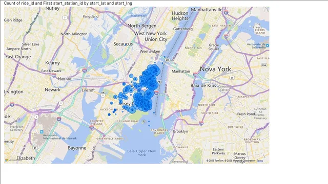 CitibikeSummerAnalysis — tela Map Visualization